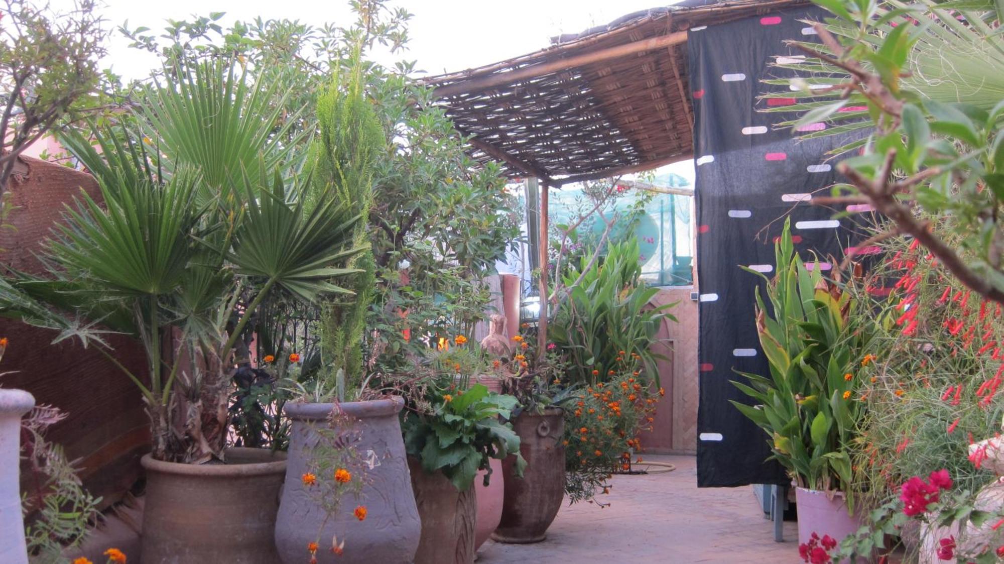 Riad Maizie Marrakesh Exterior foto